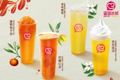 蜜雪冰城官网能够多年占据行业重要地位自然是