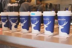 要开瑞幸咖啡店，加盟好项目都能带你走向成功。